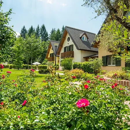 Orchidea Coreglia Antelminelli