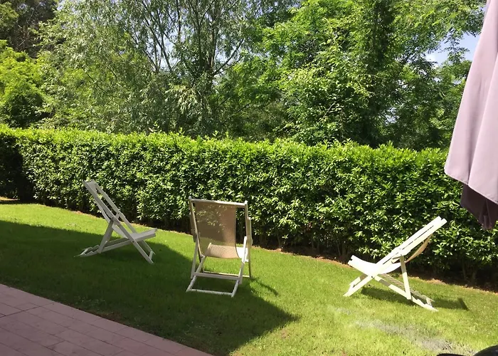 Orchidea Coreglia Antelminelli